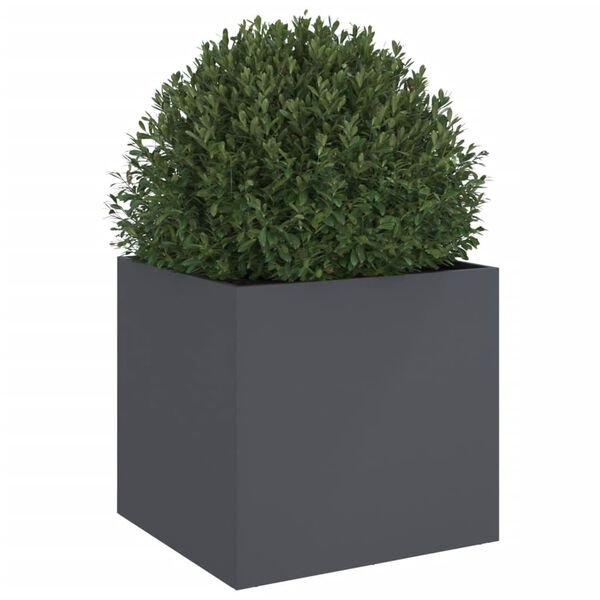 Viser 4 av 11 produktbilde(r)