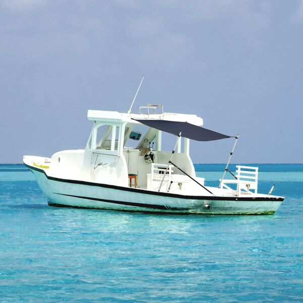 vidaXL T-Top solskjermutvidelse blå 170x208x(115-183) cm