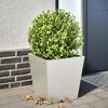 Miniatyrbilde av produktet 2 av 10