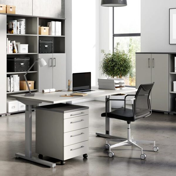 Germania Rullekommode GW-Profi 2.0 42x49x61 cm lysegr&aring; og grafitt