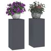 vidaXL Planteholder 2 pcs Antrasitt 24 x 24 x 55 cm Stål