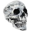 vidaXL Halloween-hodeskalle SPOOKA 2 stk. Hvit 12 x 15 x 17,5 cm Plast