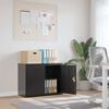 Miniatyrbilde av produktet 2 av 11