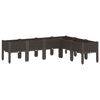 vidaXL Plantekasse med ben brun 160x120x42 cm PP