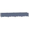Blue_grey