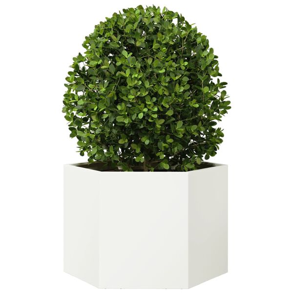 Viser 3 av 10 produktbilde(r)
