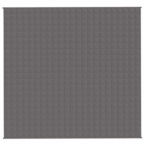 vidaXL Vektdyne gr&aring; 220x235 cm 11 kg stoff