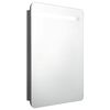 vidaXL LED-speilskap til bad blank gr&aring; 60x11x80 cm