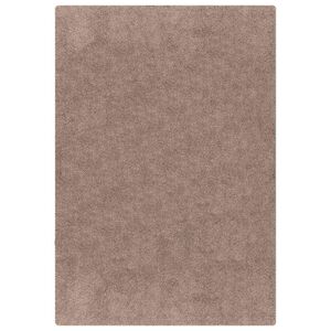 vidaXL Anti-sklisikker Shaggy Teppe Brun 80 x 150 cm PP