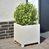 Miniatyrbilde av produktet 2 av 12