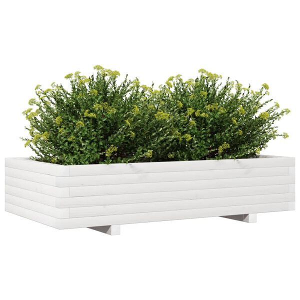 Viser 4 av 10 produktbilde(r)