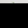 Miniatyrbilde av produktet 2 av 11