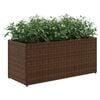 vidaXL Plantekasse med 2 potter brun 72x30x32 cm polyrotting