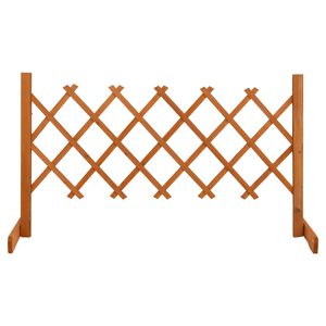 vidaXL Espaliergjerde oransje 120x60 cm heltre gran