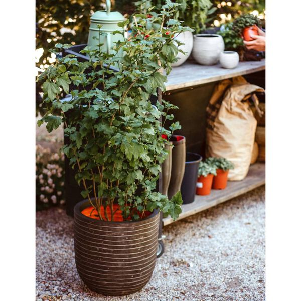 Capi Eggformet plantepotte Nature Row 43x41 cm olivengrønn