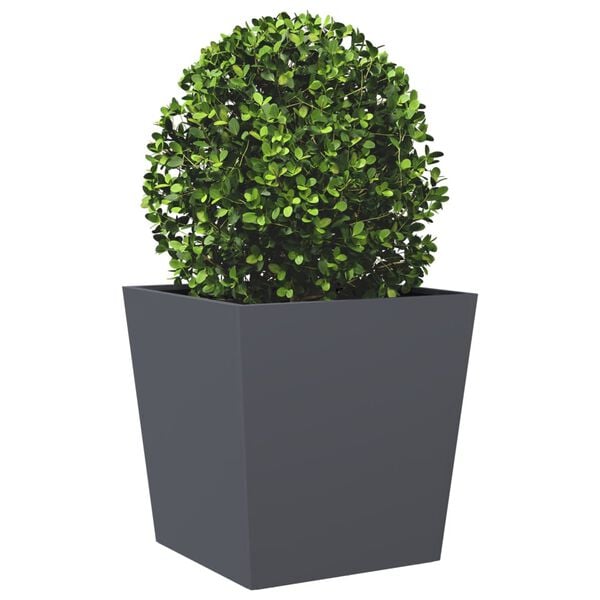 Viser 4 av 12 produktbilde(r)