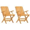 vidaXL Klappstoler 2 stk. 61x67x90 cm heltre teak