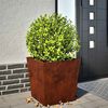 vidaXL Hageplanter 2 stk 50x50x50 cm oksidert st&aring;l