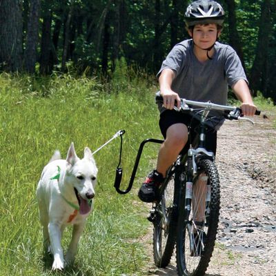 SPRINGER Sykkelbåndsett for hund