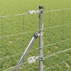 Miniatyrbilde av produktet 4 av 17