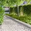 Miniatyrbilde av produktet 2 av 9