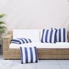 Blue_and_white