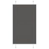 vidaXL pliss&eacute;gardin sort 70x150 cm Stoff Bredde 69,4 cm Polyester