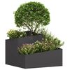Miniatyrbilde av produktet 3 av 12