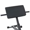 vidaXL Hyperextension benk Svart 100.5 x 70 x 78 cm Pulverlakkert st&aring;l