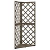 vidaXL Hj&oslash;rneespalier gr&aring; 50x50x145 cm heltre gran