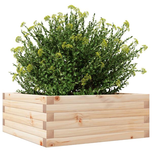 vidaXL Plantekasse 60x60x23 cm heltre furu