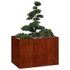 Miniatyrbilde av produktet 2 av 11