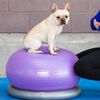 FitPAWS Balanseball til kj&aelig;ledyr TRAX Donut 55 cm lilla