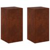 vidaXL Planteholder 2 pcs Rusten 30 x 30 x 60 cm Cortenst&aring;l