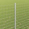 Miniatyrbilde av produktet 4 av 8
