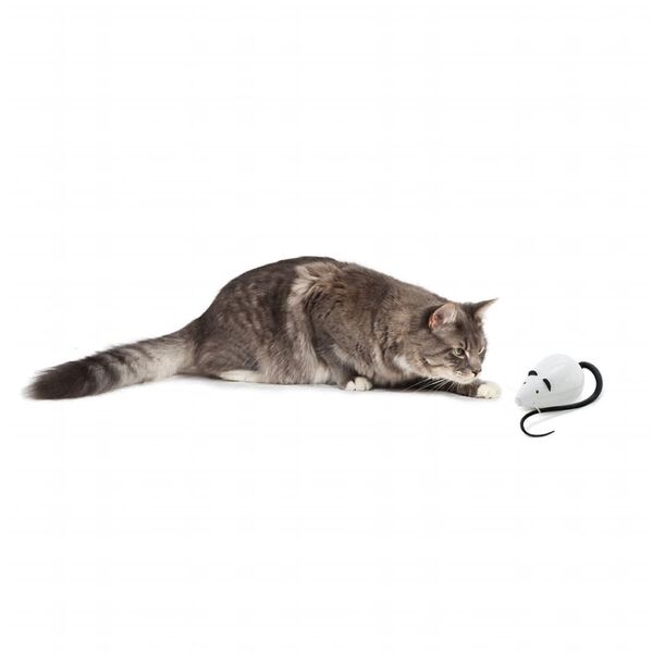 FroliCat Automatisk katteleke RoloRat