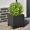 Miniatyrbilde av produktet 2 av 12