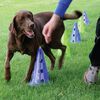 FitPAWS Smidighetssett for hund Canine Gym