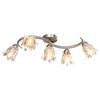 vidaXL Taklampe gjennomsiktige glasskjermer for 5 E14 lysp&aelig;rer tulipan