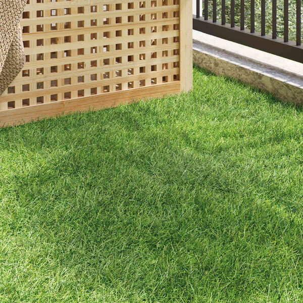 Viser 3 av 10 produktbilde(r)