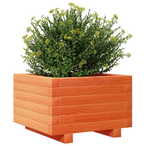 Viser 4 av 10 produktbilde(r)