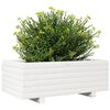 vidaXL Plantekasse hvit 70x40x26,5 cm heltre furu