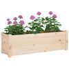 vidaXL Plantekasser 2 stk 100x31x31 cm heltre furu