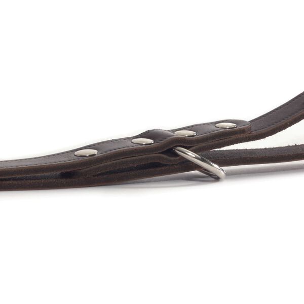 Beeztees Treningsb&aring;nd l&aelig;r brun 200x1,2 cm 736401