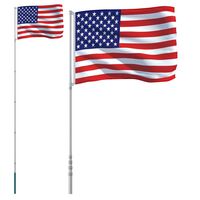 vidaXL Amerikansk flagg og stang 5,55 m aluminium