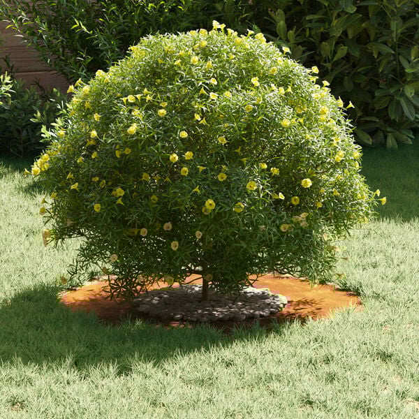 vidaXL passende for Flat Tre Ring Brun Ø30 / 60 cm Cortenstål