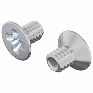 vidaXL Senkskruer 2 pcs s&oslash;lv M4 x 6 mm St&aring;l