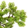 Miniatyrbilde av produktet 5 av 7