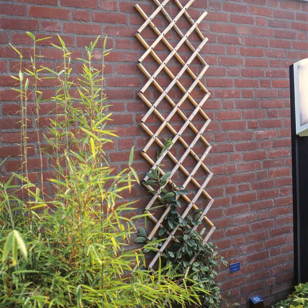 Nature Hageespalier 70x180 cm bambus 6040721