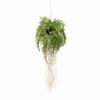 Emerald Kunstig hengende bregne med r&oslash;tter 35 cm